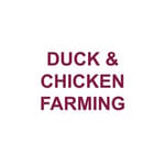 DUCK & CHICKEN FARMING