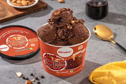 Jamoca Almond Fudge Tub (600 ml)