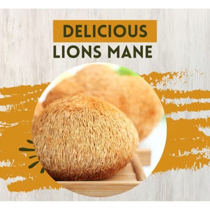 Natural Dried Lion's Mane Mushroom – Premium Quality – 50 g - 50 gm