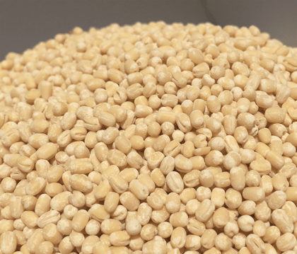 urad dal whole/udina bale