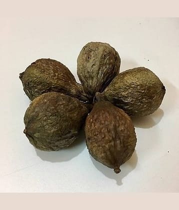 Nutrixia Food Samudraphal समुद्रफळ Barringtonia Acutangula Samudra Fhal\n 100 gm