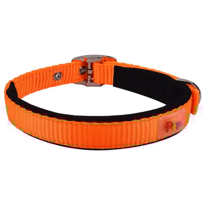 Petz Pure Nylon Padded Collar 3/4 inch Orange 20mm
