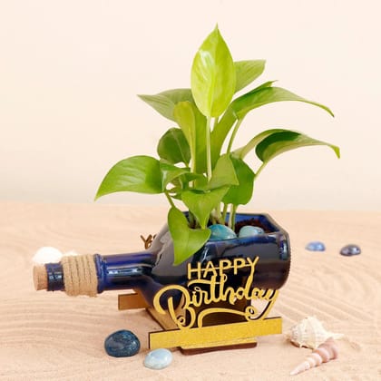 Happy Birthday Money Plant Antiquity Bottles