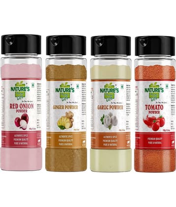 Natures Gift Onion Powder 250 gm, Ginger Powder 200 gm, Garlic Powder 250 gm & Tomato Powder 300 gm - Ready to Cook Powder 1 kg