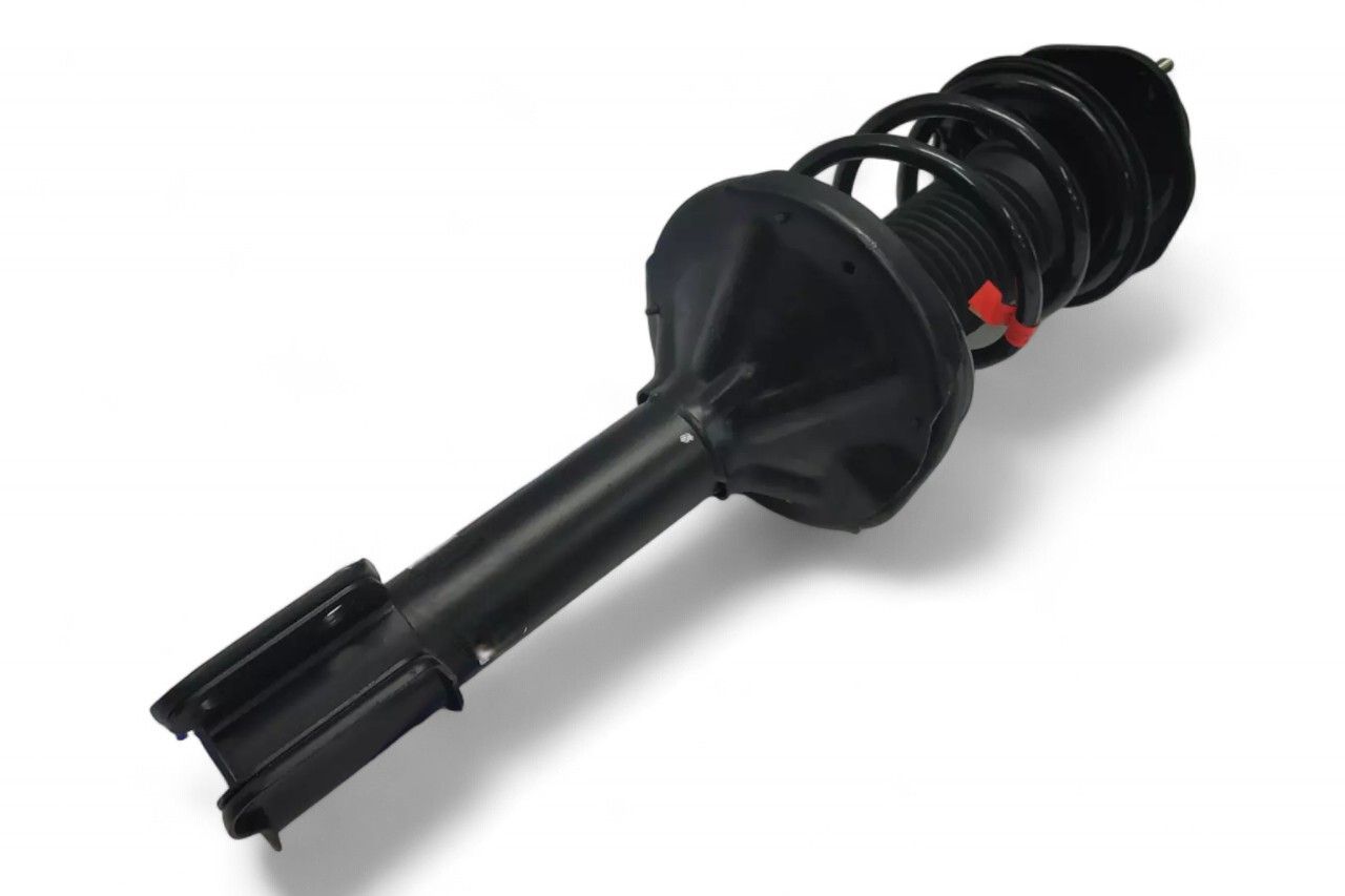 Gabriel Front Suspension Strut Assy - LH AM-G01252