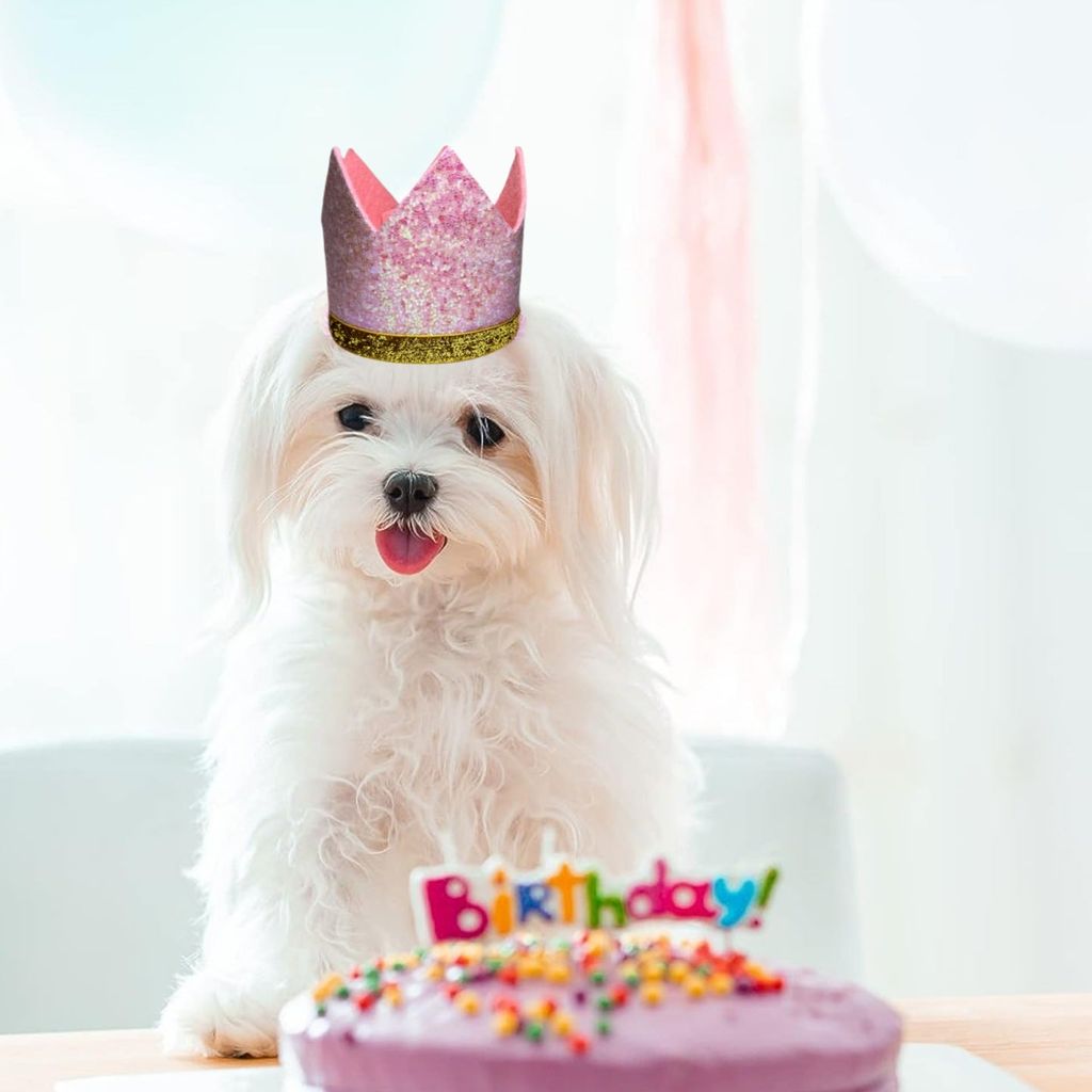 Kids Crown Pink Cap w/Pull Elastic & Customizable