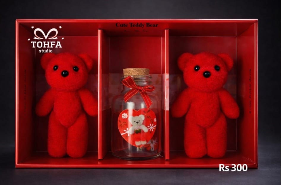 Twin Teddy Love Set