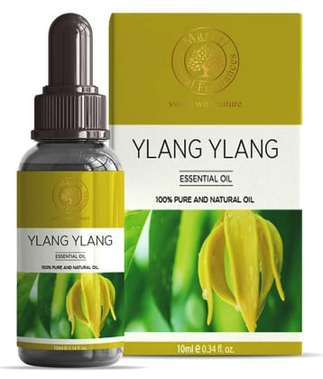 Maruti Natural Fragrances Ylang-Ylang Essential Oil Floral With Dropper 10 mL ( Pack of 1 )