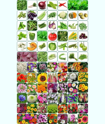 Aero Seeds Combo Pack Of 40 Varieties Flower Seeds 40 Varieties Vegetable Seeds
