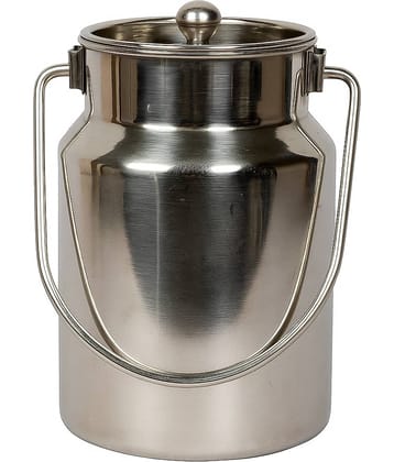 Dynore 700 ml Barni Steel Silver Oil Container ( Set of 1 )