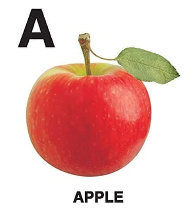 Sparkle Board Book- Abc [Board book] Dreamland Publications