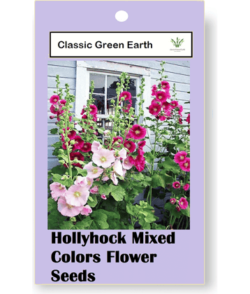 CLASSIC GREEN EARTH - Flower Seeds ( Hollyhock Mixed Colors Flower 50 Seeds )