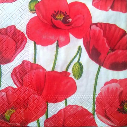 Decoupage Napkin / Tissue papers - GT2048 - 25cm*25cm