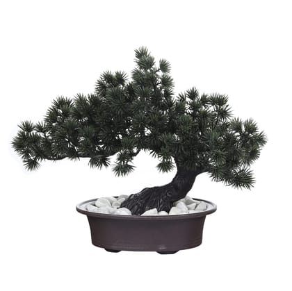 FOLIYAJ Artificial Bent Bonsai Tree with Pine Leaves with Pot|Bonsai Tree|Artificial Flower|with Pot|Home D�cor for Living Room Home Office Shop|House|Gift|Decoration