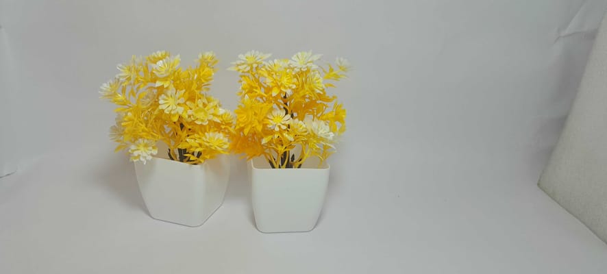 Abhilasha Enterprises