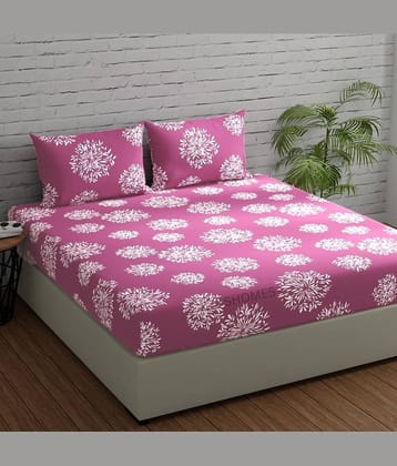 SHOMES Cotton Floral Fitted 1 Bedsheet with 2 Pillow Covers ( Double Bed ) - Pink