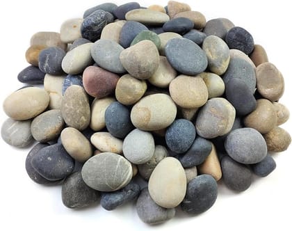 Big Natural River Rocks for Garden and Aquascape (Pack of 8)