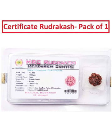 Pantone 100% Original 5 Face Nepali Rudraksha With Lab Certificate - Pack of 1