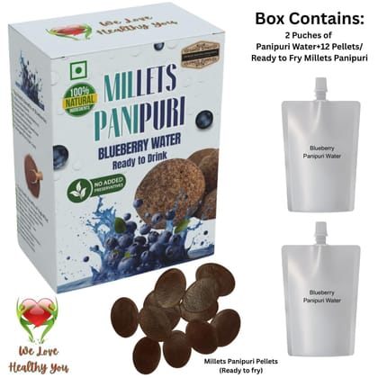 Pani Puri Water Blueberry 200ml Pack of 2 (200ml+200ml) | NON-PRESERVATIVE