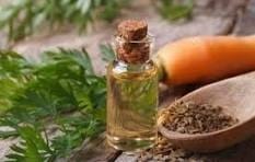 Organic Celery Seed Hydrosol