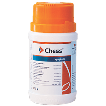CHESS