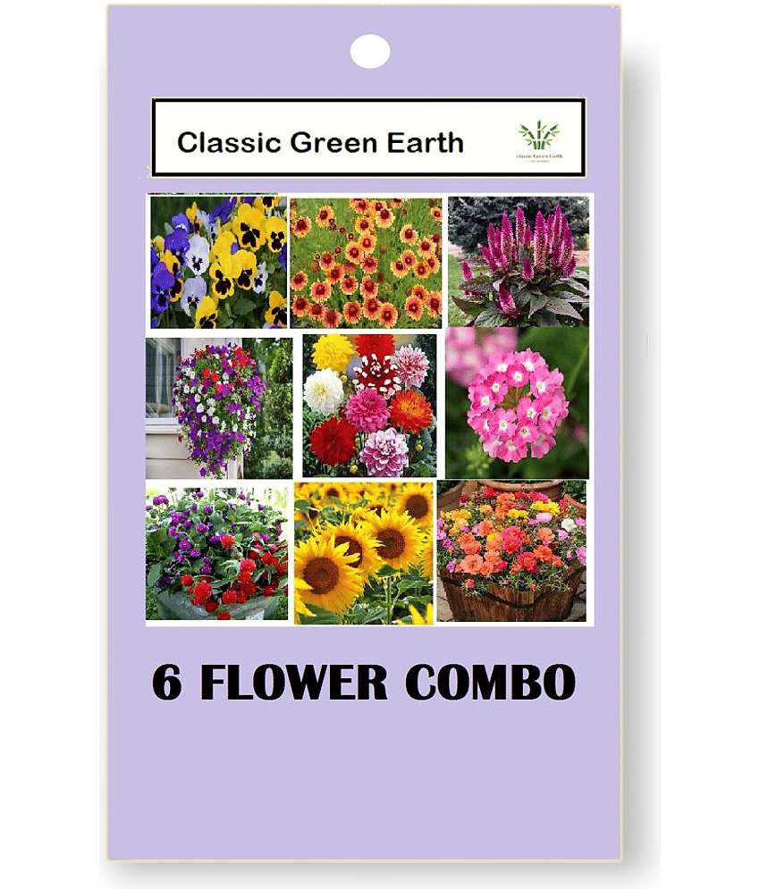 CLASSIC GREEN EARTH - Flower Seeds ( 6 FLOWER COMBO 300 SEEDS FOR HOME GARDENING )