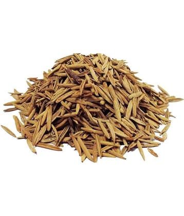 Nutrixia Food Indrajav - Indrajau - Indrajav Seeds(Kadwa)-Holarrhena Pubescens Seeds 100 gm