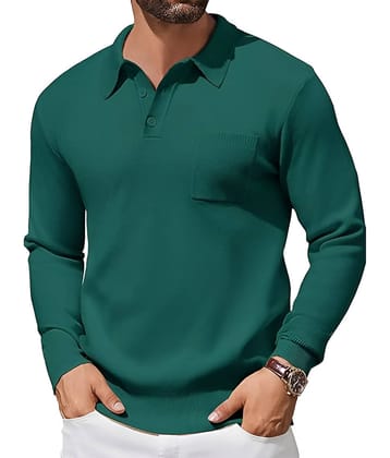 tysort Woollen Polo Collar Men's Full Sleeves Pullover Sweater - Mint Green ( Pack of 1 )