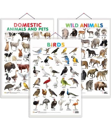 Set of 3 Domestic Animals and Pets, Wild Animals and Birds Early Learning Educational Charts for Kids | 20"X30" inch |Non-Tearable and Waterproof | Double Sided Laminated | Perfect for Homeschooling, Kindergarten and Nursery Students