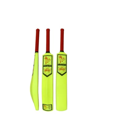 FAIRO.STORE Heavy Duty Plastic Cricket Bat, Full Size (34� X 4.5�inches) Premium Bat for All Age Groups � Kids/Boys/Girls/Adults (Green)