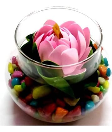 Green plant indoor Lotus Multicolour Flowers With Pot - Pack of 1