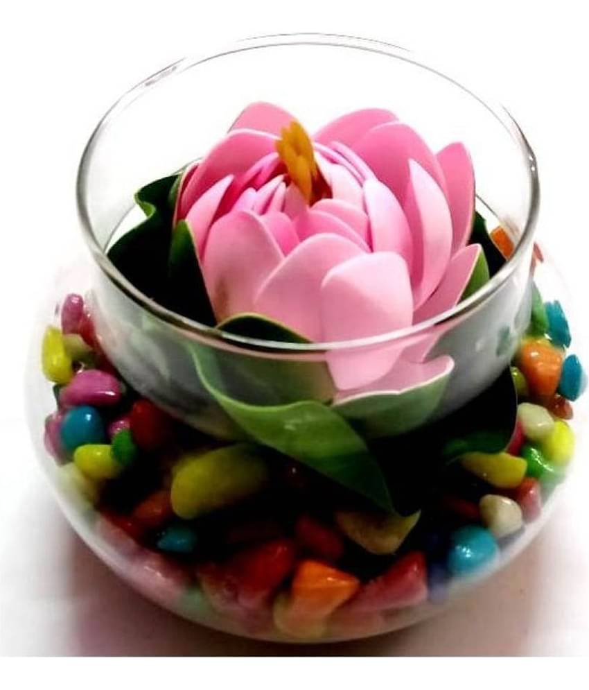 Green plant indoor Lotus Multicolour Flowers With Pot - Pack of 1