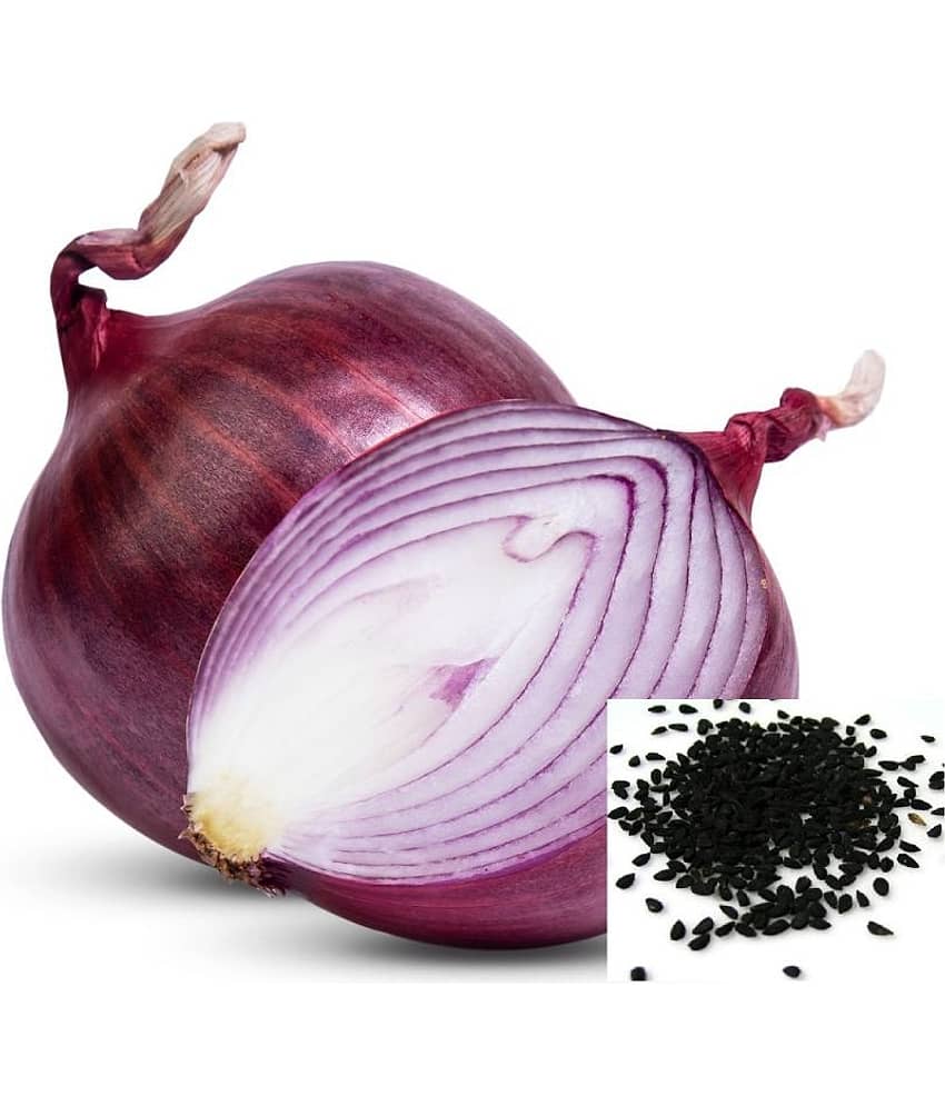 OLD STORE RED ONION 500 FRESH SEEDS PACK WITH MANUAL