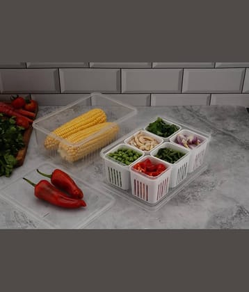 iview kitchenware Vegetable/Masala Plastic White Multi-Purpose Container ( Set of 1 )