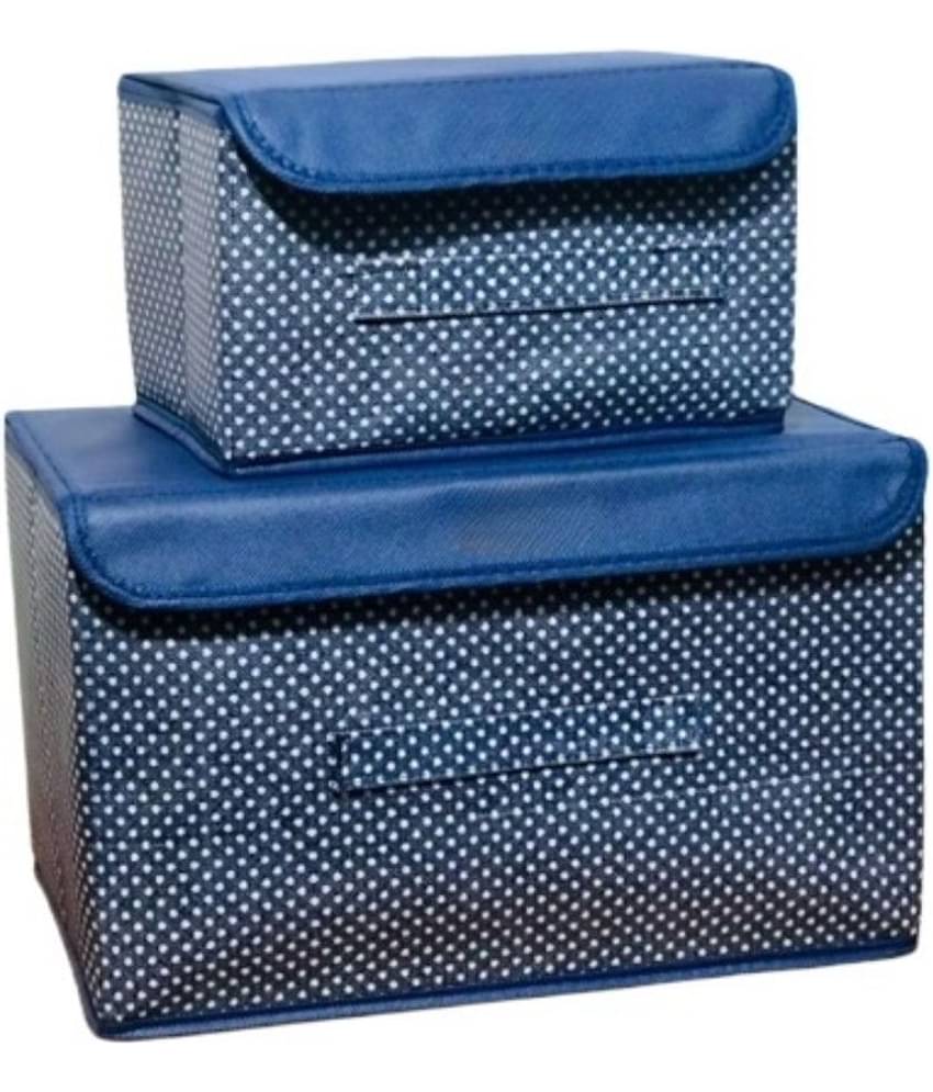 Sunesh creation - Foldable Non Woven Clothes Organisers Box (Pack of 2)