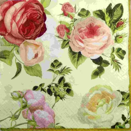 Decoupage Napkin / Tissue papers - DGT1913