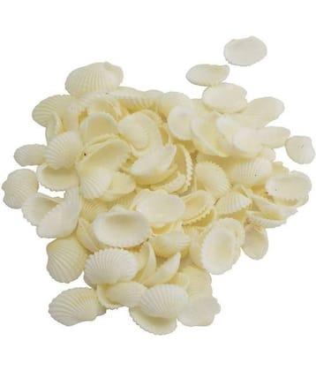 Sea Shells white ,500 Gm Pack ,Used In Aquariums ,Art & Crafts ,Decorations, Table Decoration , Approx,( 500 Pcs ) size 2cm