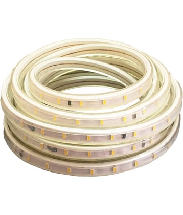 QUALSTAR - Off White 3Mtr String Light ( Pack of 1 )