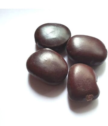 VINARGHYA Mountain Tamarind Seed / Bada Jangali Imli Imali Beej / Hatti Bij 100 gm