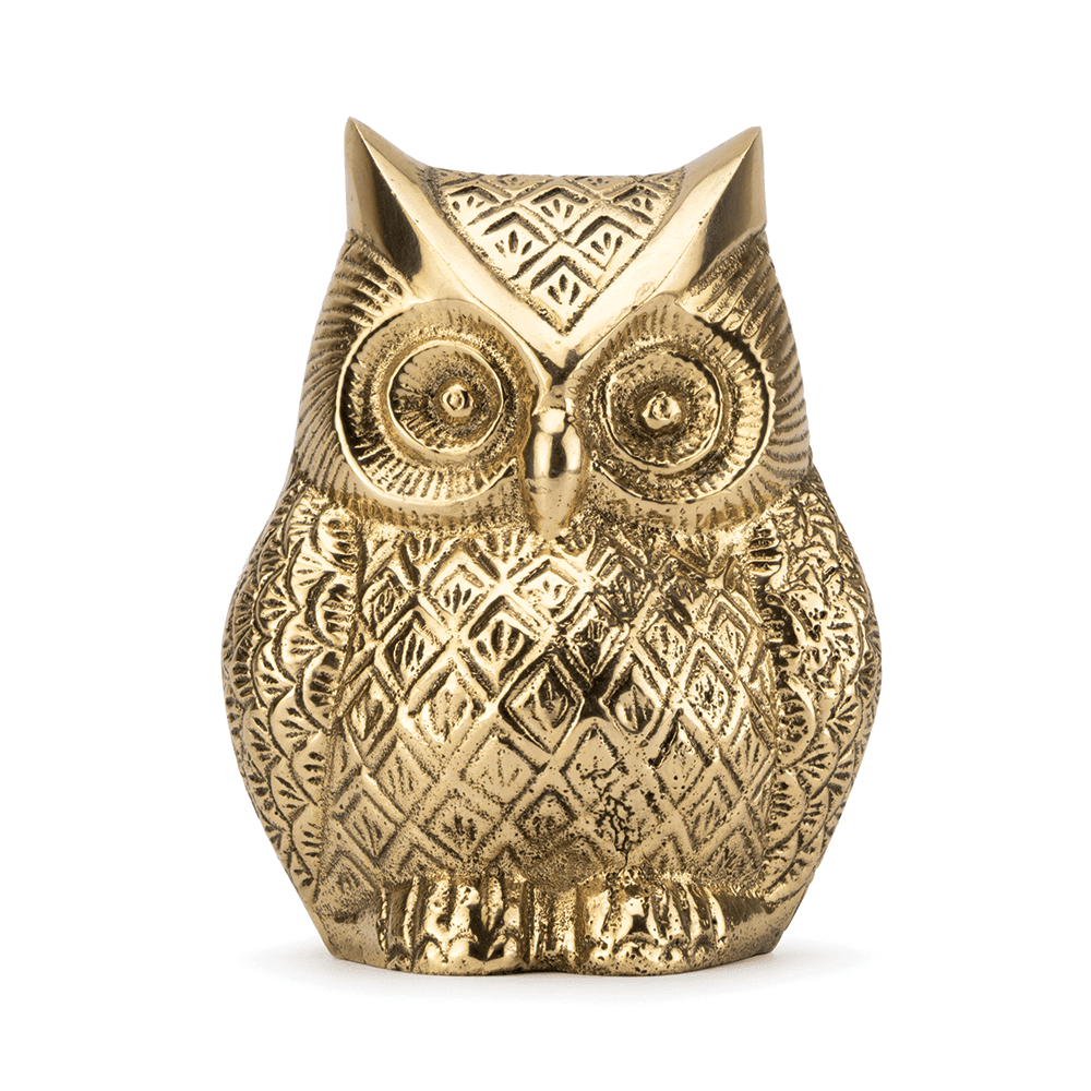 Owl - Sharpens the Vision