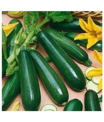 Summer Squash/ Chappan Kadu Organic Vegetable Seeds- 10 Seeds