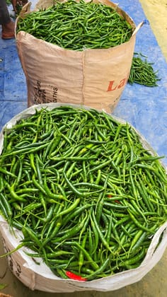 Green Chili