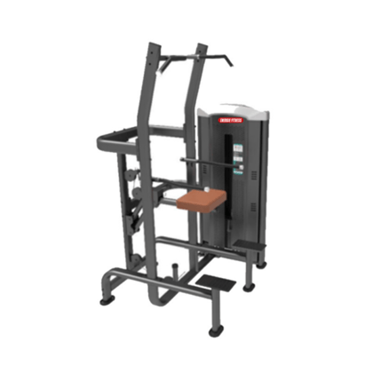 Premium Weight Assisted Chin Dip Machine EMT-008