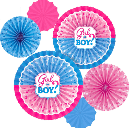 Baby Shower Pink & Blue Paper Fans - 6PC
