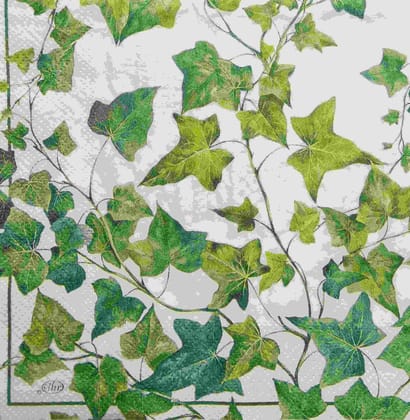 Decoupage Napkin / Tissue papers - 33cm by 33cm - GT1673