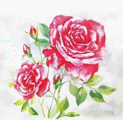 Decoupage Napkin / Tissue papers - 25cm*25cm - GT3218