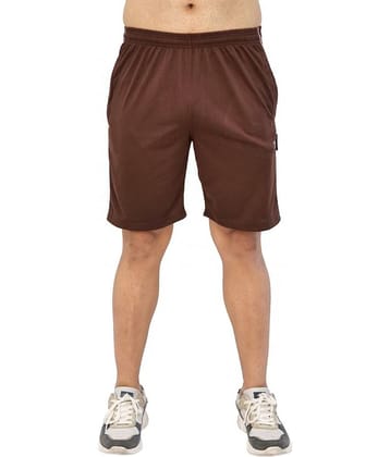 TF Brown Cotton Blend Men's Shorts ( Pack of 1 )