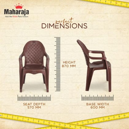 MAHARAJA Dolphin for Home, Office | Comfortable | Arm Rest | Bearing Capacity up to 200 Kg Plastic Outdoor Chair