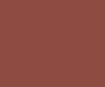 1001 Rakshak Exterior Emulsion Terracotta Paint WT | Weatherproof | Flowerpot Paint | Weather Resistant I Water-based exterior wall Better anti-algal protection than cement paints - (4 ltr)