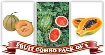 Real Seed Fruit Combo Pack - Musk Melon, Water Melon and Honey Dew Dwarf Papaya F1 Hybrid Seeds Seed(3 per packet)